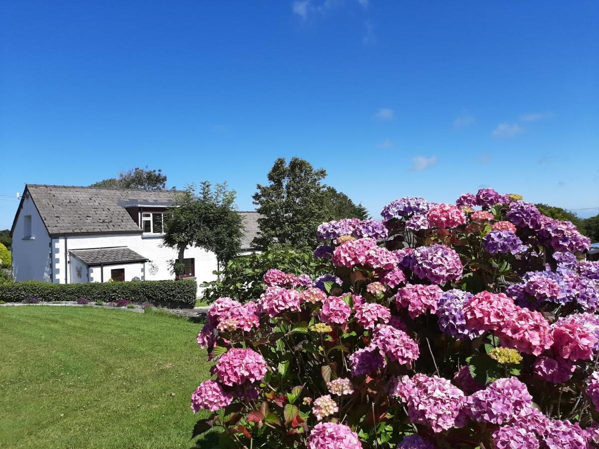Trenewydd Farm Holiday home
