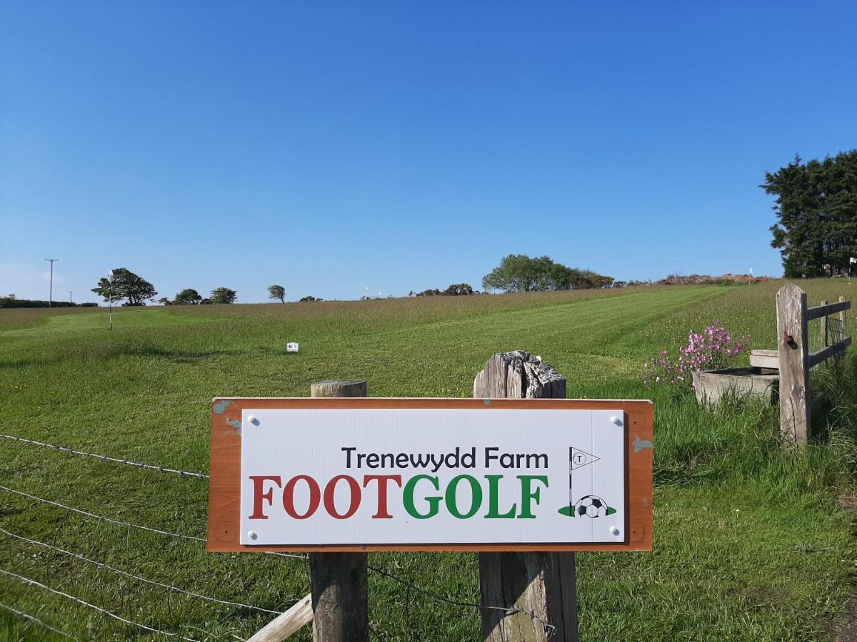 Trenewydd Farm Holiday home *